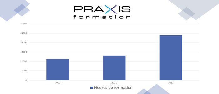 https://praxis-formation.com